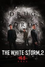 White Storm 2: DrugLords