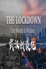 The Lockdown One Month in Wuhan